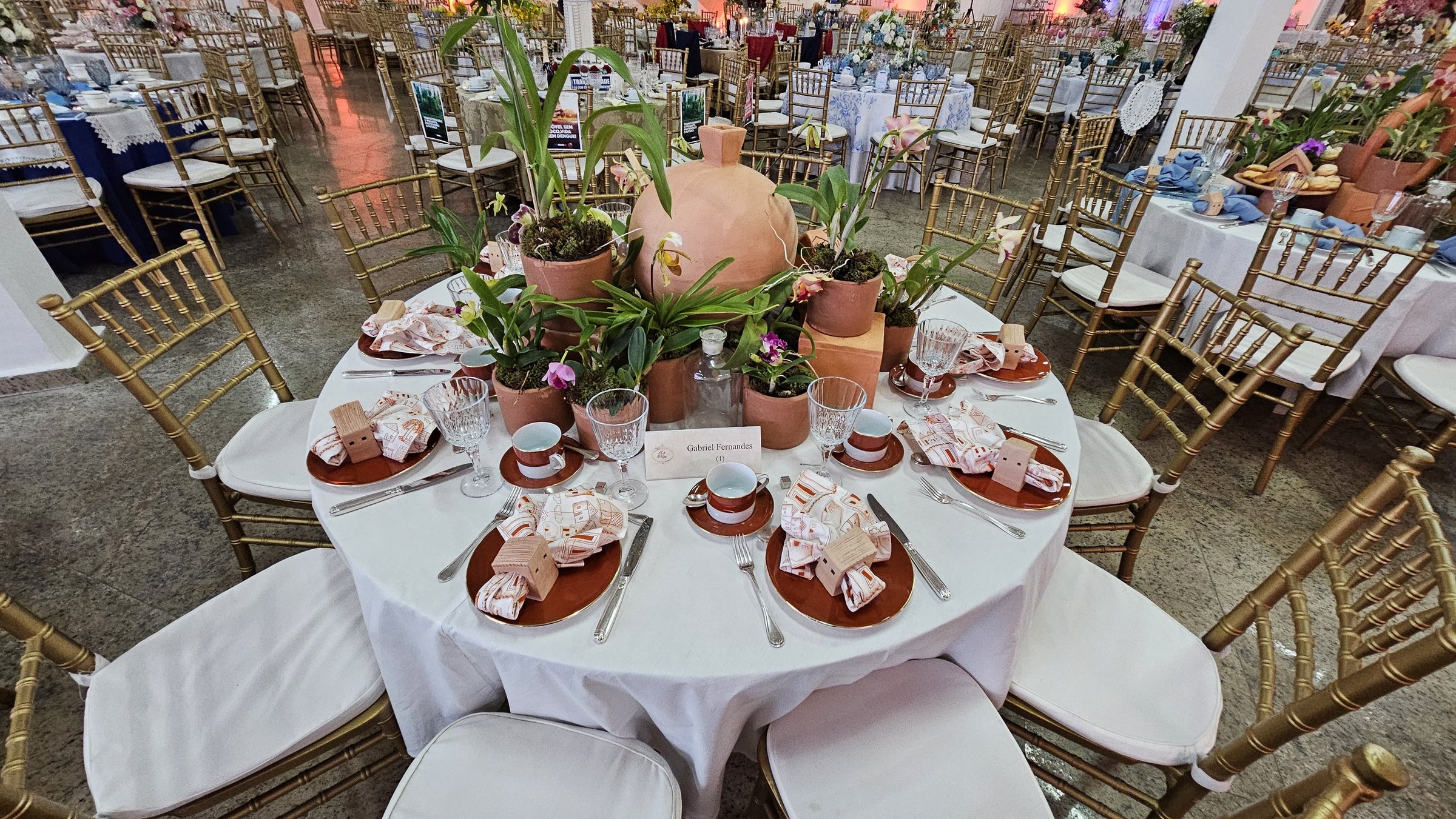 1º Lugar Originalidade