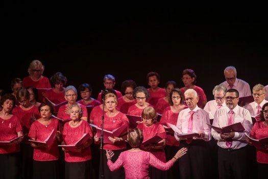 Imagem do evento 'Encontro de Corais da Terceira Idade'